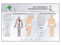 Электрифицированный стенд "Остановка кровотечения" - «globural.ru» - Казань