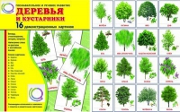 Демонстрационные карточки "Деревья и кустарники" - «globural.ru» - Казань