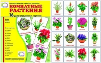 Демонстрационные карточки "Комнатные растения" - «globural.ru» - Казань