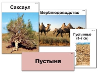 Модель-аппликация "Природные зоны России" - «globural.ru» - Казань