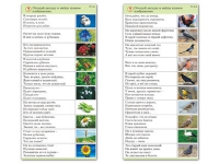 Комплект карточек (10) "Обучающий калейдоскоп. Природа" - «globural.ru» - Казань