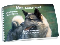 Пособие для слабовидящих "Домашние животные" - «globural.ru» - Казань