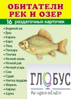 Раздаточные карточки "Обитатели рек и озер" - «globural.ru» - Казань