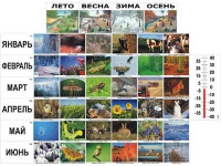 Фенологические наблюдения - «globural.ru» - Казань