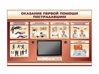 Многофункциональный интерактивный стенд-тренажер "Оказание первой помощи пострадавшим" для учащихся общеобразовательных учреждений - «globural.ru» - Казань