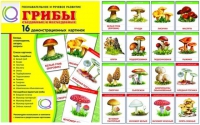 Демонстрационные карточки  "Грибы съедобные и не съедобные" - «globural.ru» - Казань
