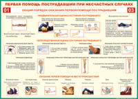  Таблица Общий порядок оказания первой помощи пострадавшим 1000*1400 винил	 - «globural.ru» - Казань