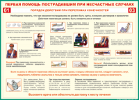 Таблица Порядок действий при переломах конечностей 1000*1400 винил - «globural.ru» - Казань