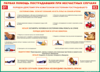 Таблица Порядок действий при коматозном состоянии пострадавшего 1000*1400 винил - «globural.ru» - Казань