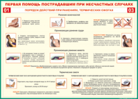 Таблица Порядок действий при ранениях и термических ожогах	 1000*1400 винил - «globural.ru» - Казань