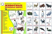 Демонстрационные карточки "Животные холодных широт" - «globural.ru» - Казань