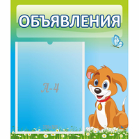 Стенд "Объявления" №17 - «globural.ru» - Казань