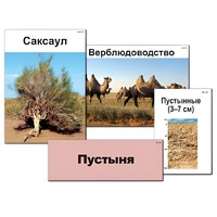 Модель-аппликация "Природные зоны России" - «globural.ru» - Казань