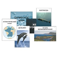 Модель-аппликация "Океаны. Знакомство" (ламинированная) - «globural.ru» - Казань