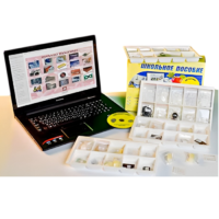 Коллекция натурально-интерактивная "Пластмассы" - «globural.ru» - Казань