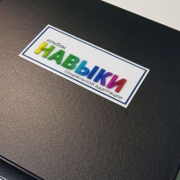 Навыки социальной адаптации. Развивающие пособие на липучках  - «globural.ru» - Казань