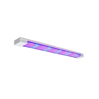 Фитолампа - «globural.ru» - Казань