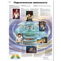Плакат "Наркотическая зависимость", ламинированный, 50*67 см - «globural.ru» - Казань