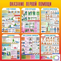 Стенд "Оказание первой помощи" - «globural.ru» - Казань
