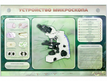 Электрифицированный стенд "Устройство микроскопа и правила работы c ним" - «globural.ru» - Казань