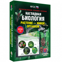 Наглядная биология. Растение - живой организм - «globural.ru» - Казань
