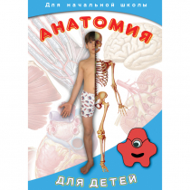 DVD  Анатомия для детей - «globural.ru» - Казань