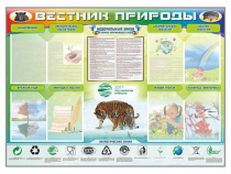 Стенд-уголок "Вестник природы" (вариант 1) - «globural.ru» - Казань
