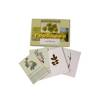 Гербарий "Деревья и кустарники" (22 вида, с иллюстрациями) - «globural.ru» - Казань