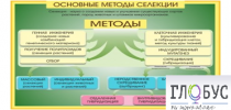 Стенд "Методы селекции и биотехнологии" - «globural.ru» - Казань