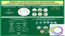 Стенд "Формы размножения организмов" - «globural.ru» - Казань