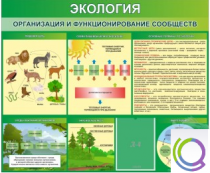 Стенд "Экология. Организация и функционирование сообществ" - «globural.ru» - Казань