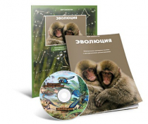Электронное наглядное пособие «Эволюция» - «globural.ru» - Казань