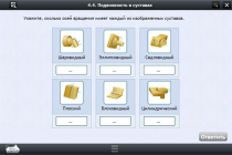 Интерактивные курсы. Биология 8 класс. Базовый  - «globural.ru» - Казань