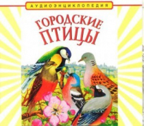 CD "Аудиоэнциклопедия. Городские птицы" - «globural.ru» - Казань