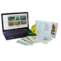 Гербарий натурально-интерактивный "Лекарственные растения" - «globural.ru» - Казань