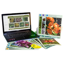 Гербарий натурально-интерактивный "Основные группы растений. Грибы. Лишайники" - «globural.ru» - Казань