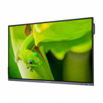 Интерактивный программно-аппаратный комплекс Geckotouch Interactive IP75GT-C в комплекте с настенным креплением - «globural.ru» - Казань