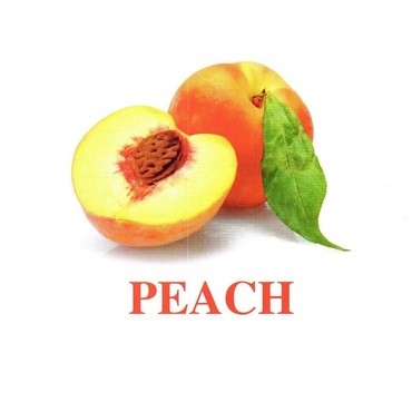"Fruit" ("Фрукты") английские карточки Домана - «globural.ru» - Казань