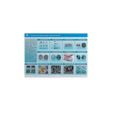 Стенд-планшет светодинамический «Изучение систематики и номенклатуры микроорганизмов» - «globural.ru» - Казань